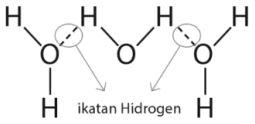 Ikatan Hidrogen H2O